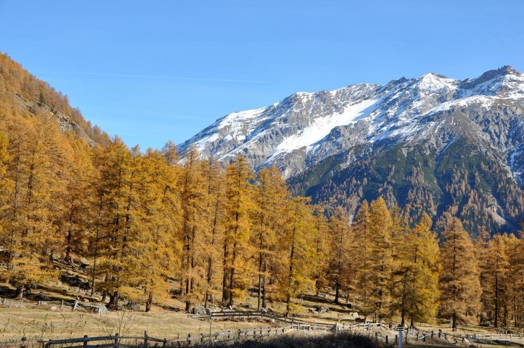 B&B St Moritz Luaran gambar